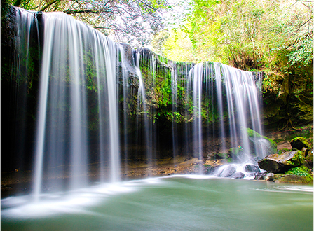 自然の恵みへのこだわり。阿蘇山麓の天然水を滴に昇華